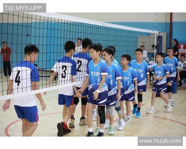 深圳排球队个人能力排名创新高展现实力与潜力的完美结合